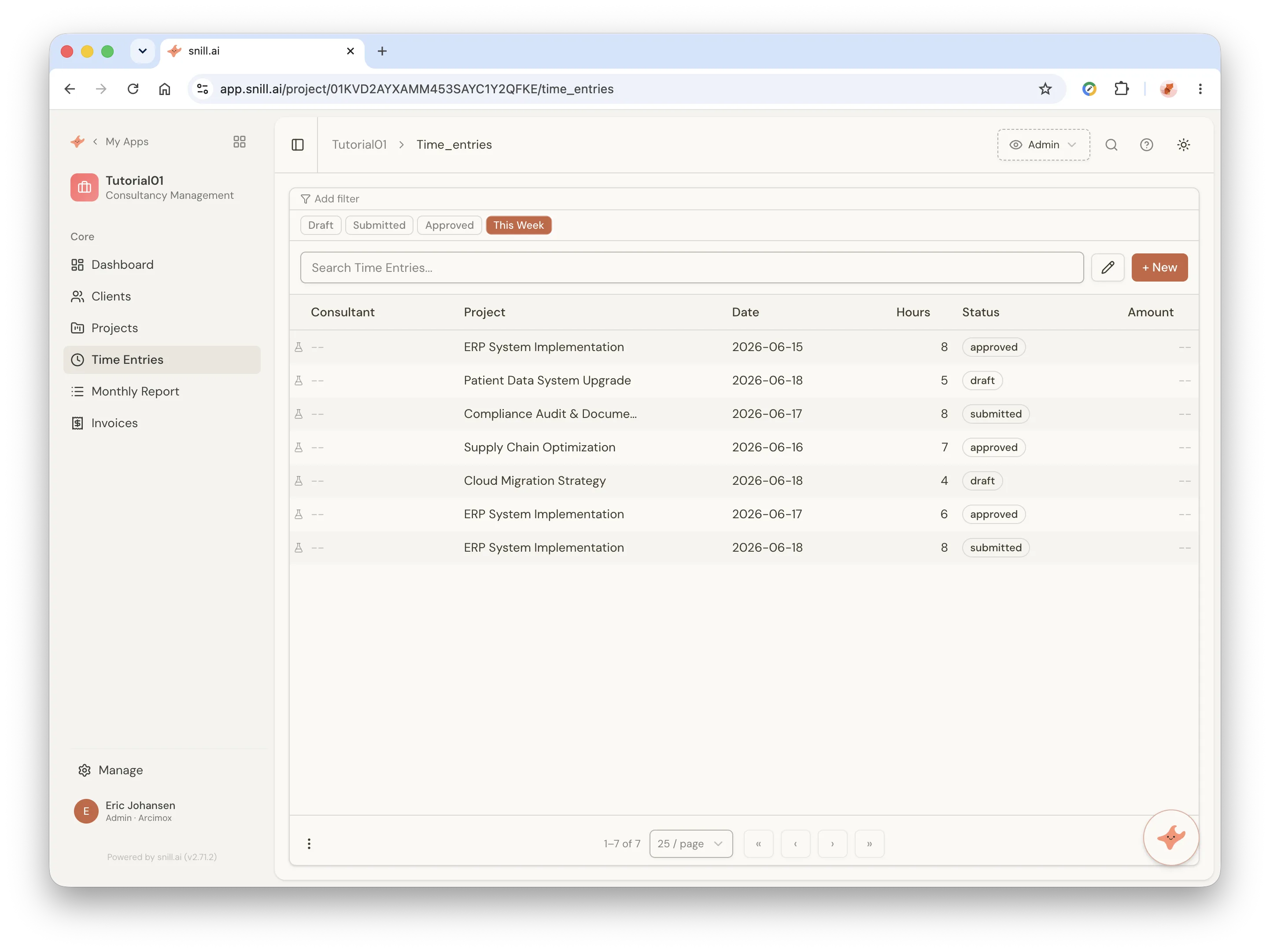 Time Entries list view with consultant, project, date, hours, status and amount columns, and draft/submitted/approved filters